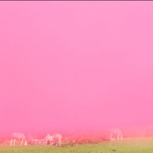 Atera nazazu bizkarrez…