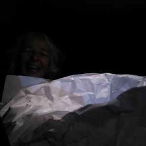 Stellae* Revista de Arte